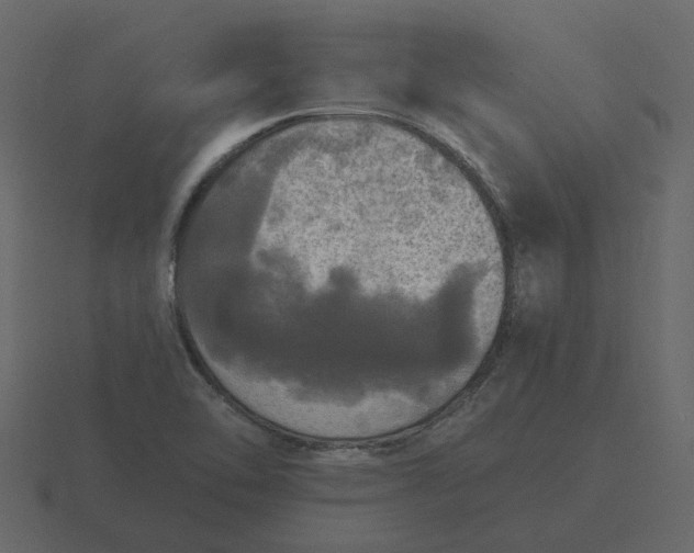 X0000116571462200912241625