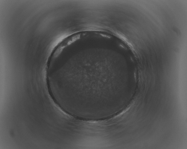 X0000116571463200912241625