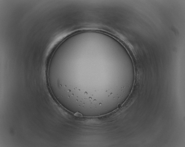 X0000116571464200912241625