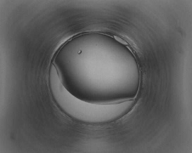 X0000116571465200912241625