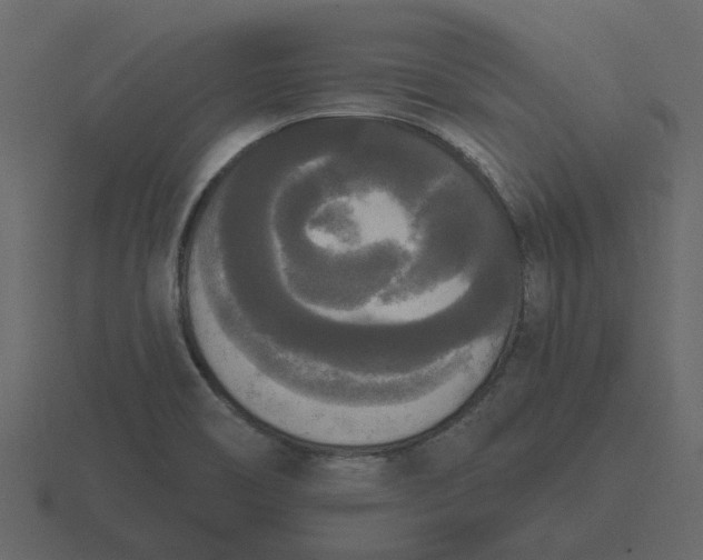 X0000116571466200912241625