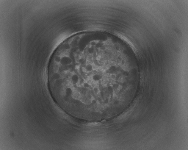 X0000116571467200912241625