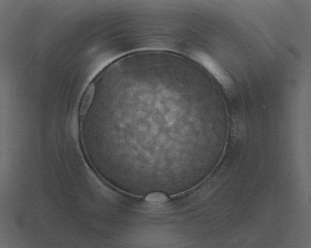 X0000116571468200912241625