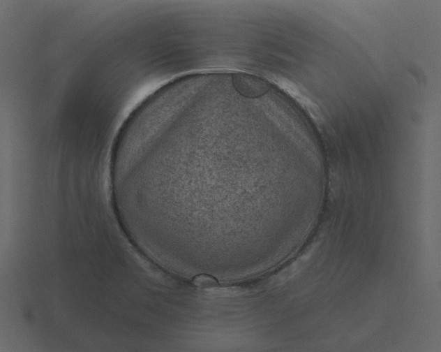 X0000116571469200912241625