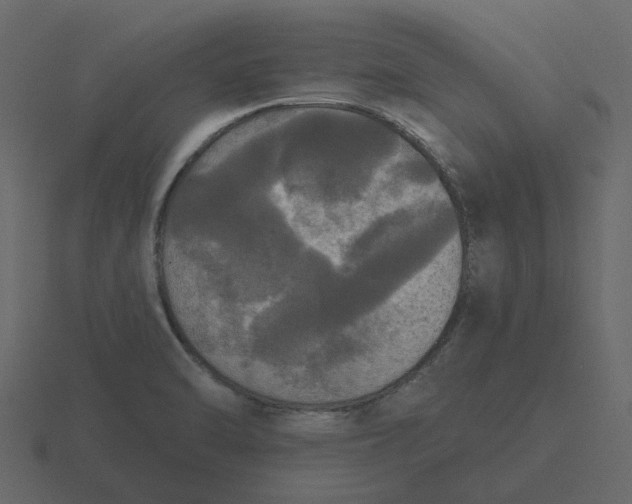 X0000116571470200912241625