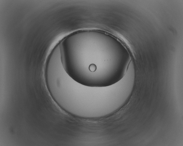 X0000116571472200912241625