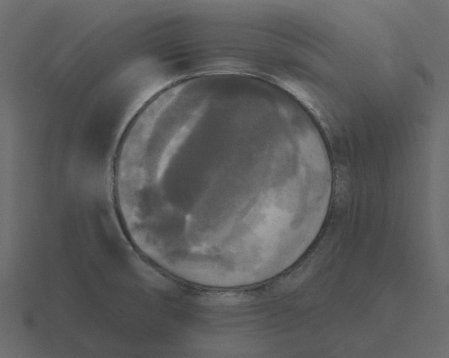 X0000116571474200912241625