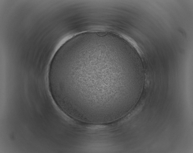 X0000116571475200912241625