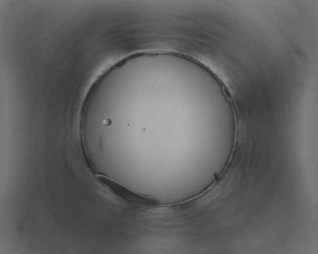 X0000116571477200912241625