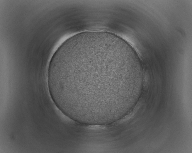 X0000116571478200912241625