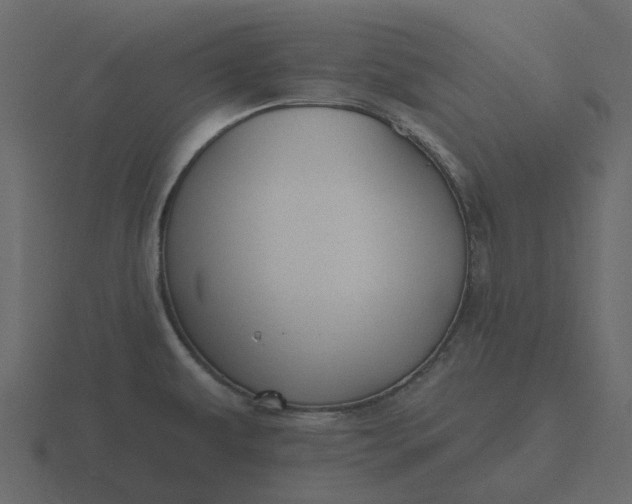 X0000116571479200912241625