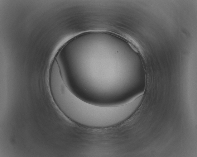 X0000116571480200912241625