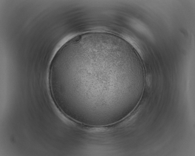 X0000116571482200912241625