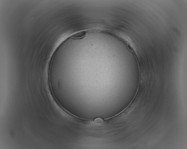 X0000116571483200912241625