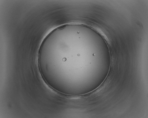 X0000116571484200912241625