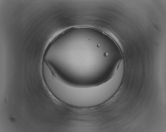 X0000116571485200912241625