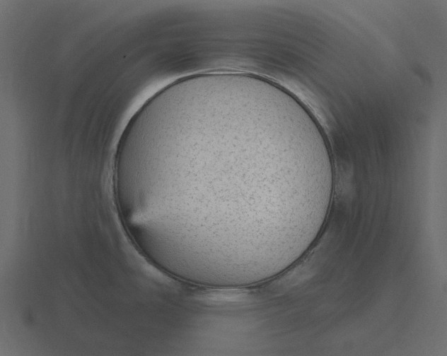 X0000116571486200912241625