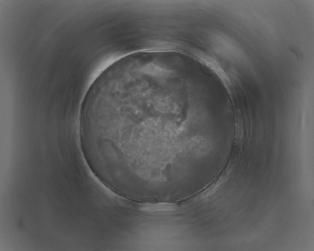 X0000116571487200912241625