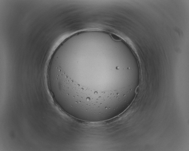 X0000116571488200912241625