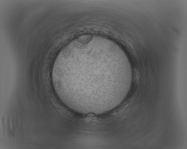 X0000116571489200912241624