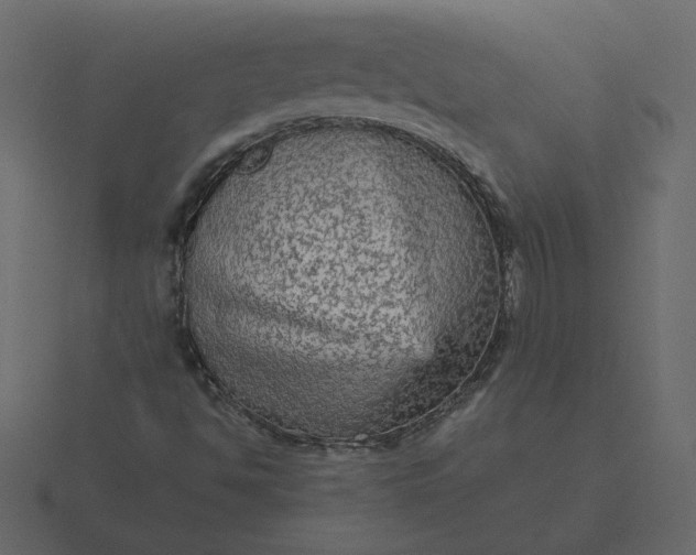 X0000116571494200912241624