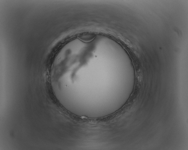 X0000116571495200912241624