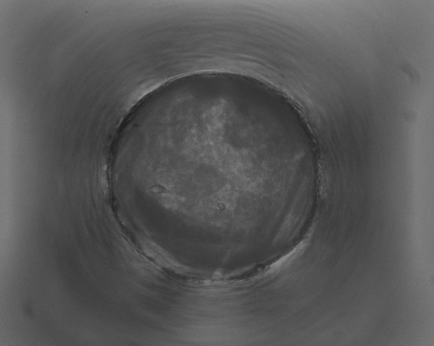 X0000116571497200912241624