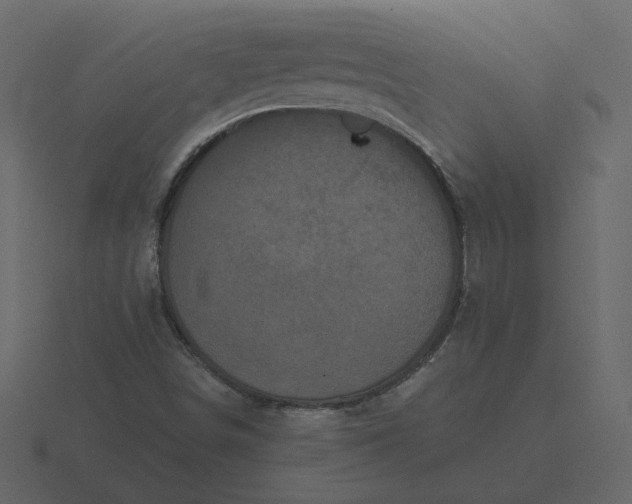 X0000116571498200912241624