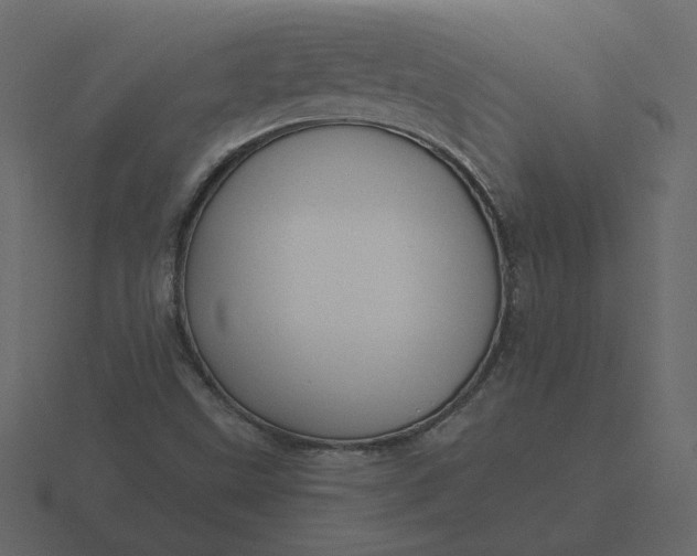 X0000116571499200912241624