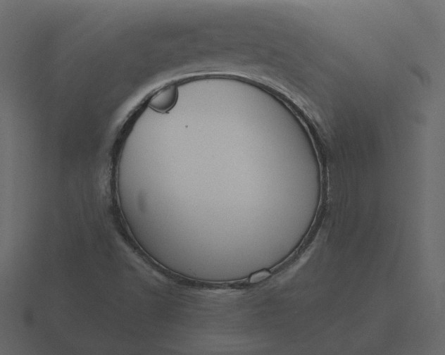 X0000116571502200912241624