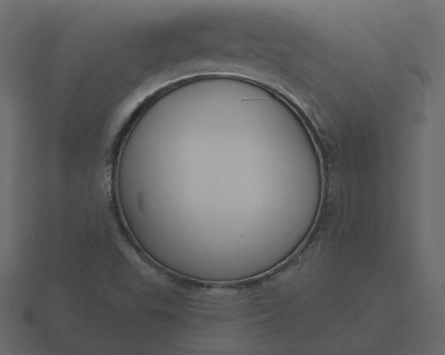 X0000116571503200912241624