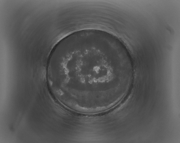 X0000116571505200912241624