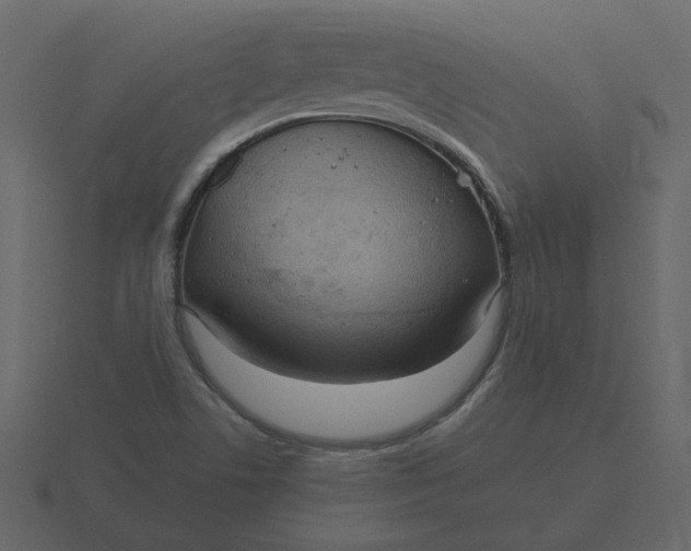 X0000116571506200912241624