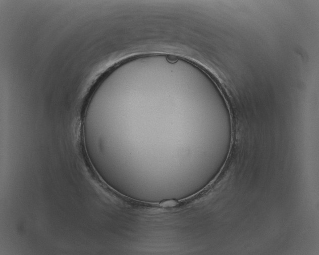 X0000116571507200912241624