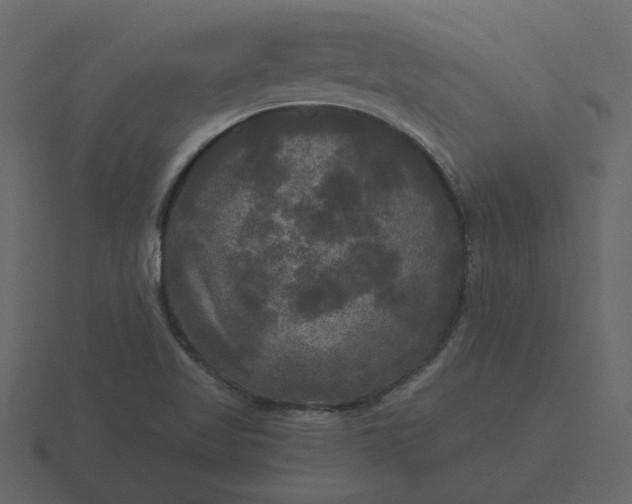 X0000116571509200912241624