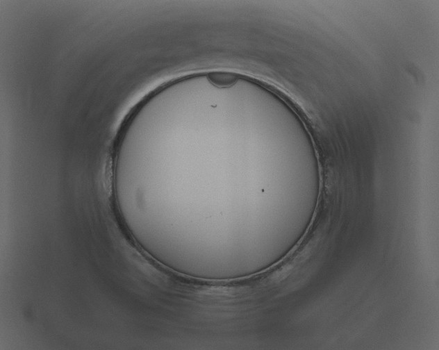 X0000116571510200912241624