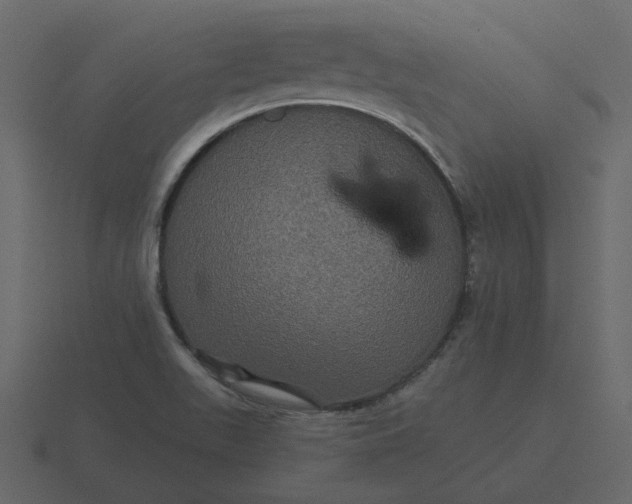 X0000116571511200912241624