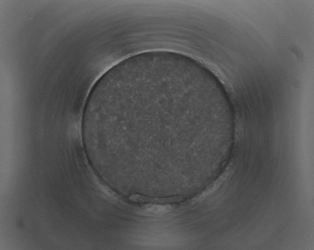 X0000116571513200912241624