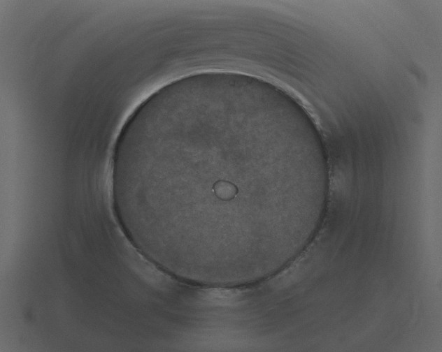 X0000116571514200912241624