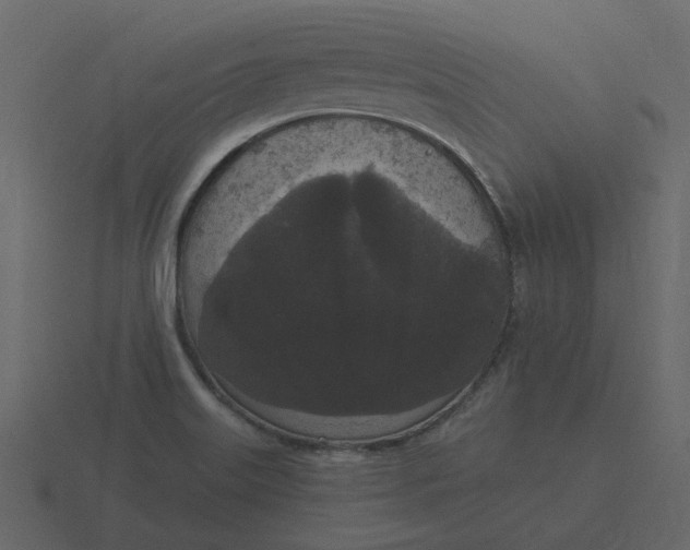 X0000116571515200912241624