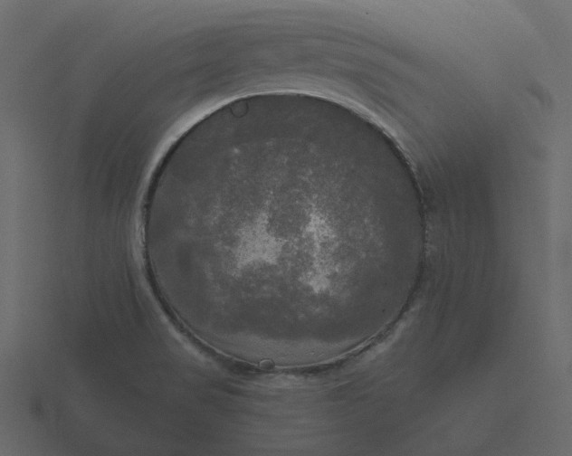 X0000116571517200912241624