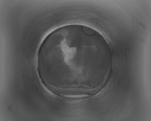 X0000116571519200912241624