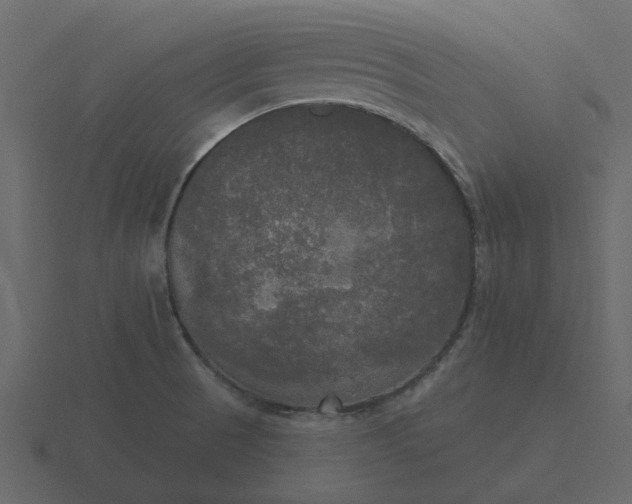 X0000116571521200912241624