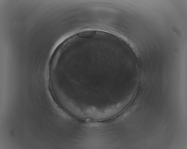 X0000116571522200912241625