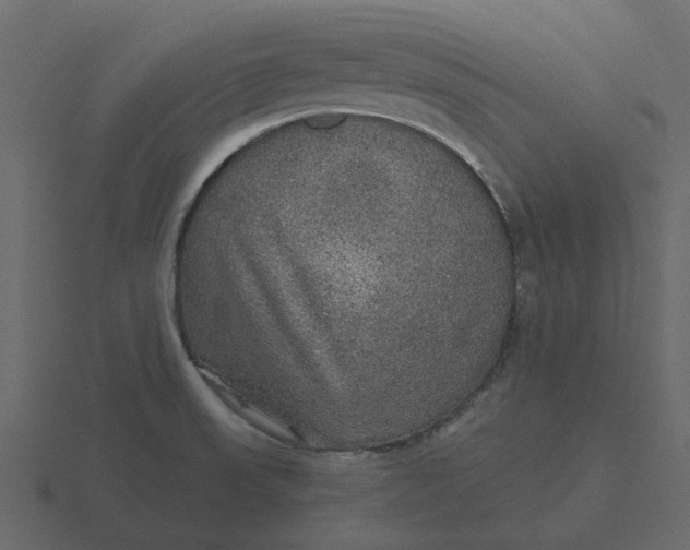 X0000116571523200912241625