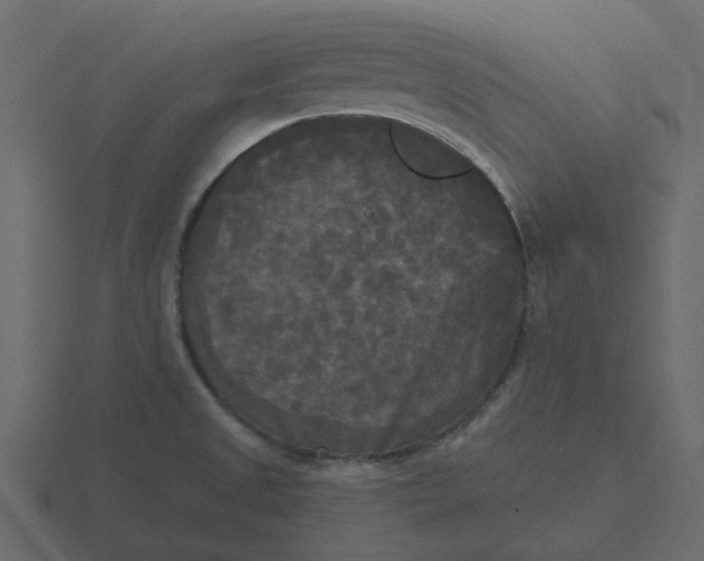 X0000116571525200912241625