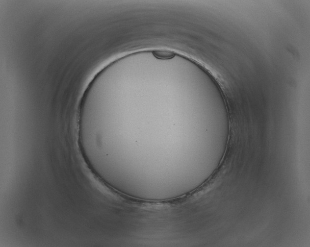 X0000116571526200912241625