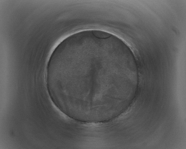 X0000116571527200912241625