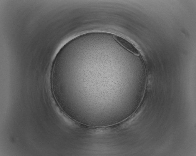 X0000116571530200912241625