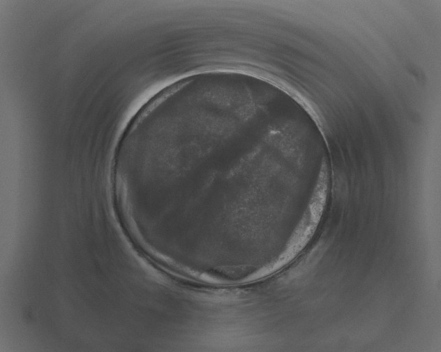 X0000116571533200912241625